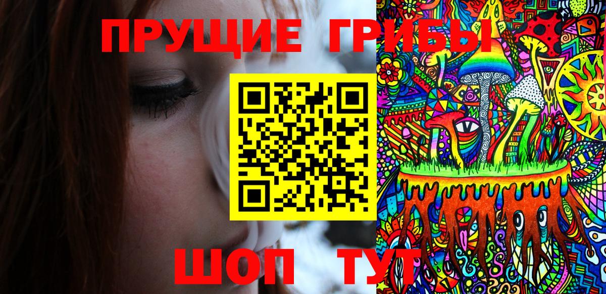 Псилоцибиновые грибы прущие грибы  Вход с VPN  сколько стоит  Псков 